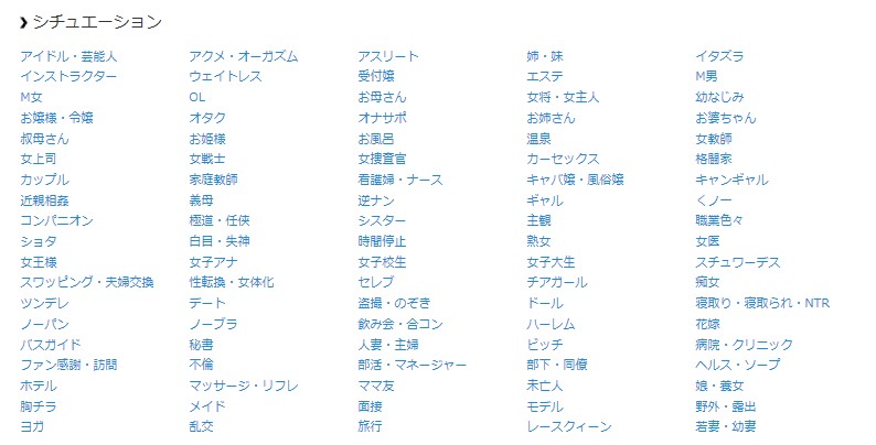 プレイガールch シチュエーション